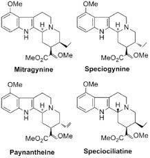 Alkaloids in kratom displaying the chemical compositions