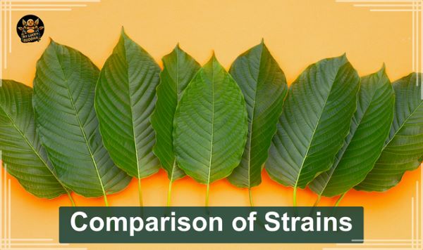 Comparison of kratom leaves