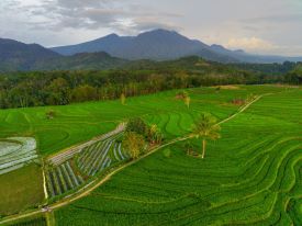 Indonesian Village