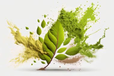 colorful image of kratom powder red, white, green and yellow bursting from a leaf on a white background