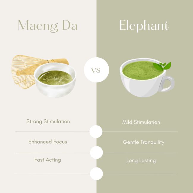 Infographic showing effects of maeng da kratom and elephant kratom side by side showcasing its benefits.