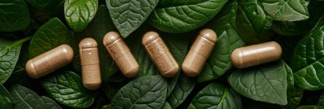 Red Vein kratom Capsules on leaves