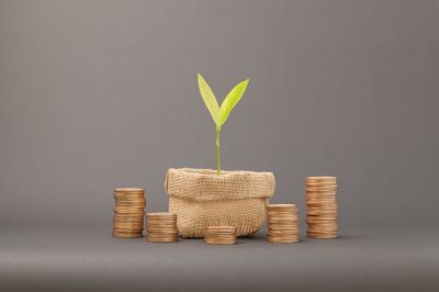 kratom tree growing out of money bag with coins stacked around it