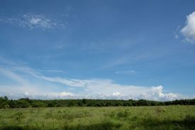 Field in Thailand