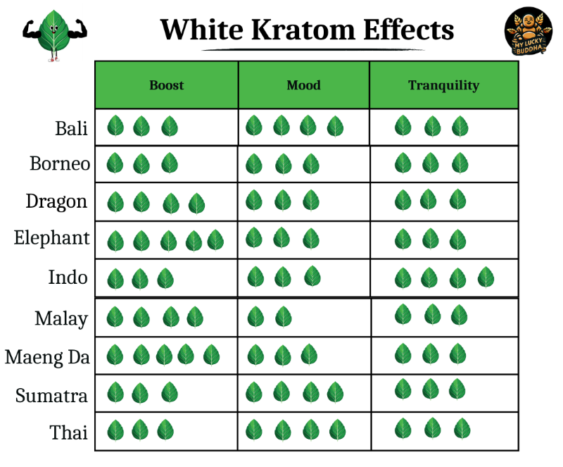 chart for white kratom by effects. There is 1 to 5 leaves indicating the strength, mood and tranquility of white bali, white borneo, white dragon, white elephant, white indo, white malay, white maeng da, white sumatra, white thai