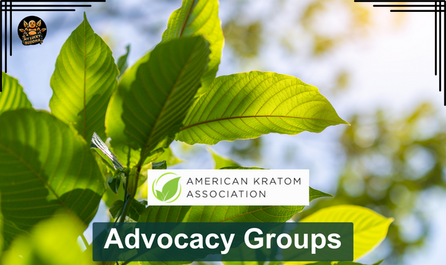 American Kratom Association advocacy Groups