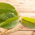 Kratom leaves laid out on wooden table