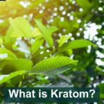 What is Kratom featured image