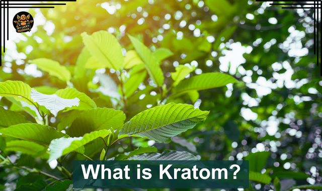 What is Kratom featured image