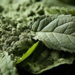 Kratom powder on top of kratom leaf