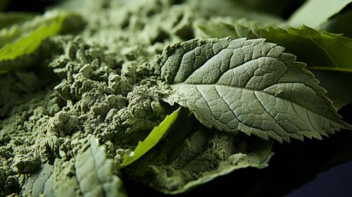 Kratom powder on top of kratom leaf