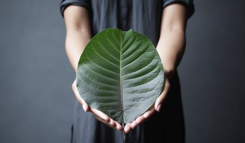 Man holding large leaf the size of his hands or larger