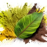 bursting colorful kratom powder from leaf